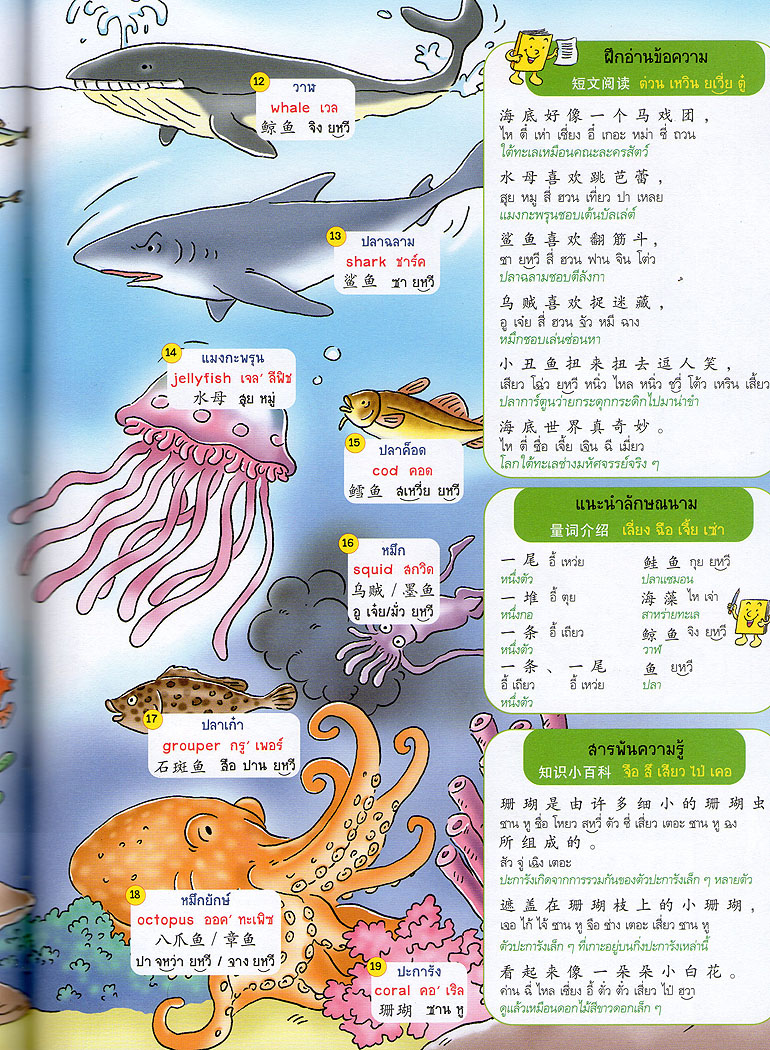 พจนานุกรมภาพ 3 ภาษาพาสนุก